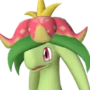 Dinossom
