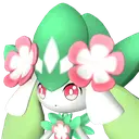 Petallia