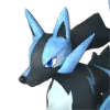 Rayhound Cryst