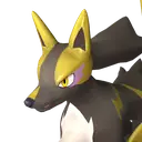 Rayhound