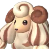 Woolipop Terra